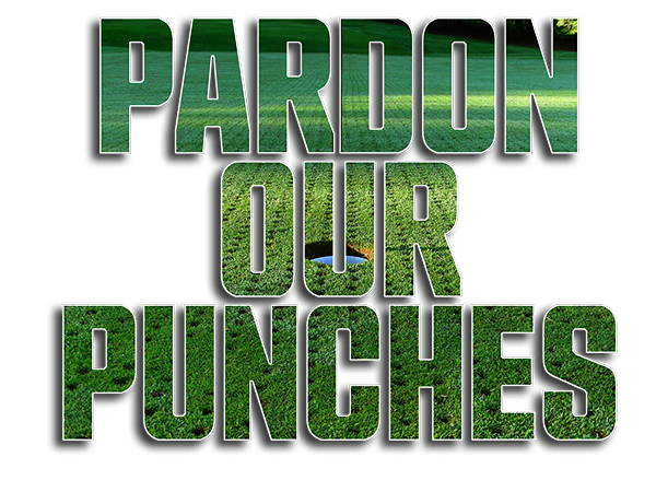 PardonOurPunches HEADER